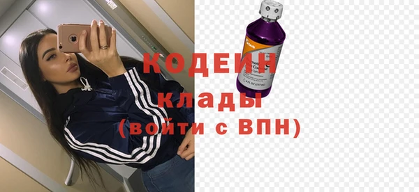 СК Алексин