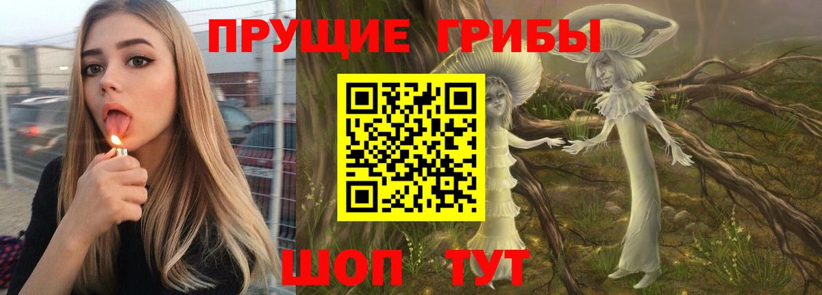 Анжеро-Судженск  закладка  Вход с VPN  Псилоцибиновые грибы MAGIC MUSHROOMS 