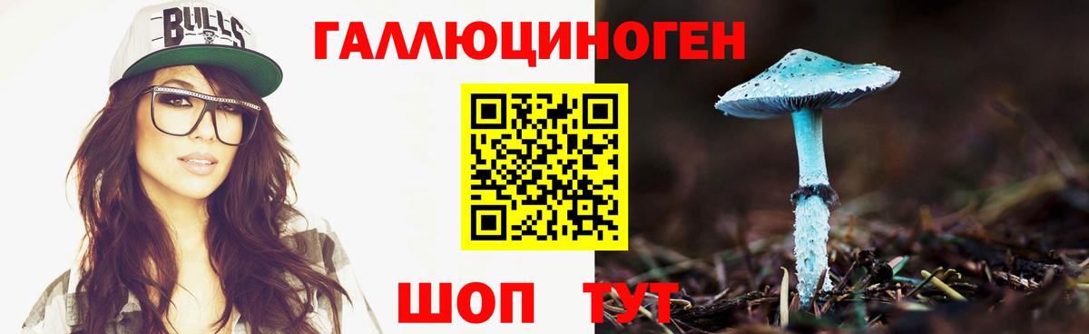 Галлюциногенные грибы мухоморы Анжеро-Судженск